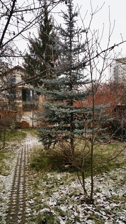 Pensiunea Paloma 3 Stele Брашов Экстерьер фото